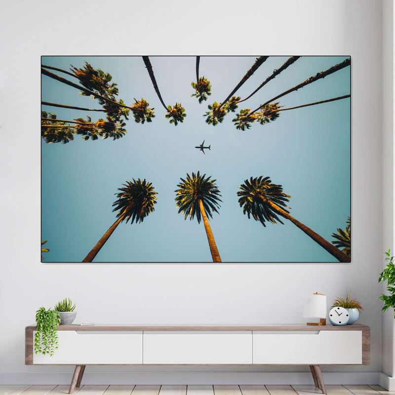 Plane Below Palm Trees Wall Art