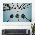 Plane Below Palm Trees Wall Art