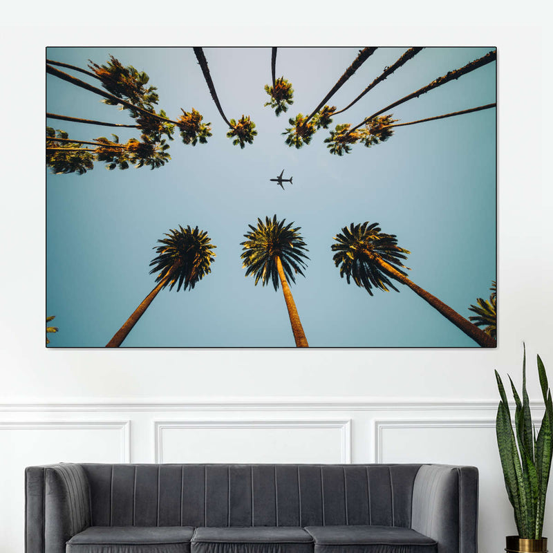 Plane Below Palm Trees Wall Art