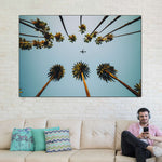 Plane Below Palm Trees Wall Art