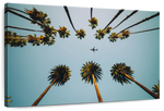 Plane Below Palm Trees Wall Art