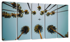 Plane Below Palm Trees Wall Art