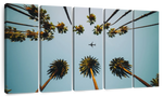 Plane Below Palm Trees Wall Art