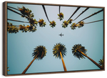 Plane Below Palm Trees Wall Art