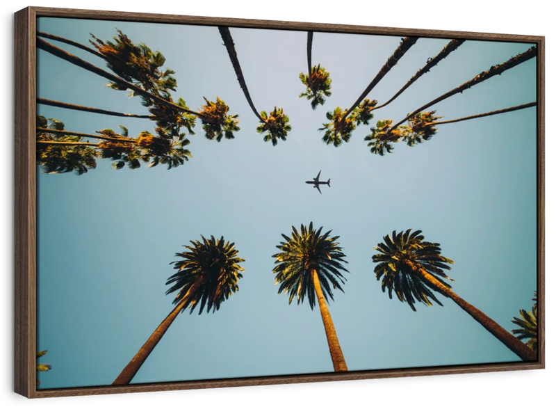 Plane Below Palm Trees Wall Art