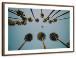 Plane Below Palm Trees Wall Art