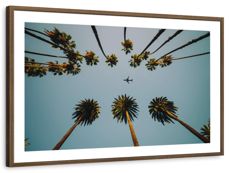 Plane Below Palm Trees Wall Art