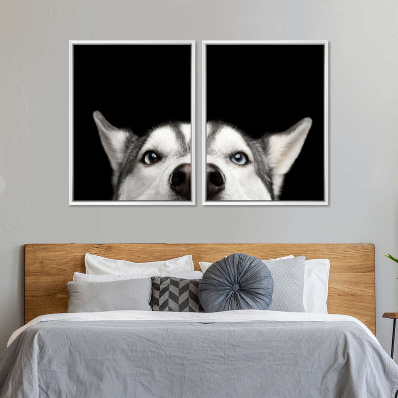Peeking Siberian Husky Wall Art