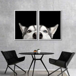 Peeking Siberian Husky Wall Art