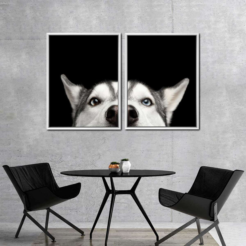 Peeking Siberian Husky Wall Art