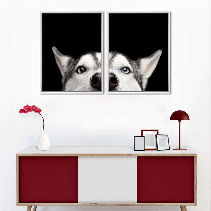 Peeking Siberian Husky Wall Art