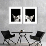 Peeking Siberian Husky Wall Art
