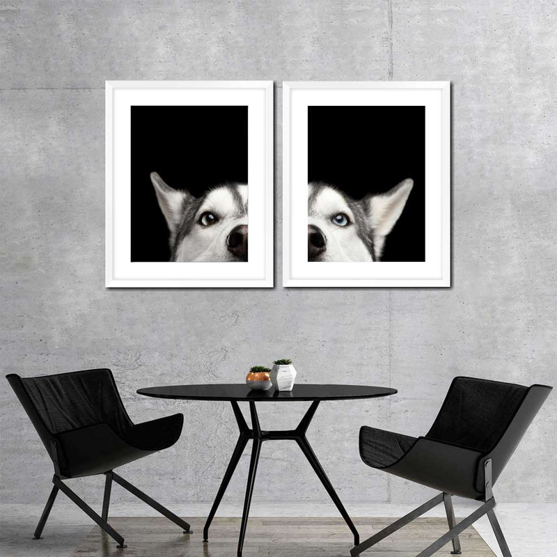 Peeking Siberian Husky Wall Art