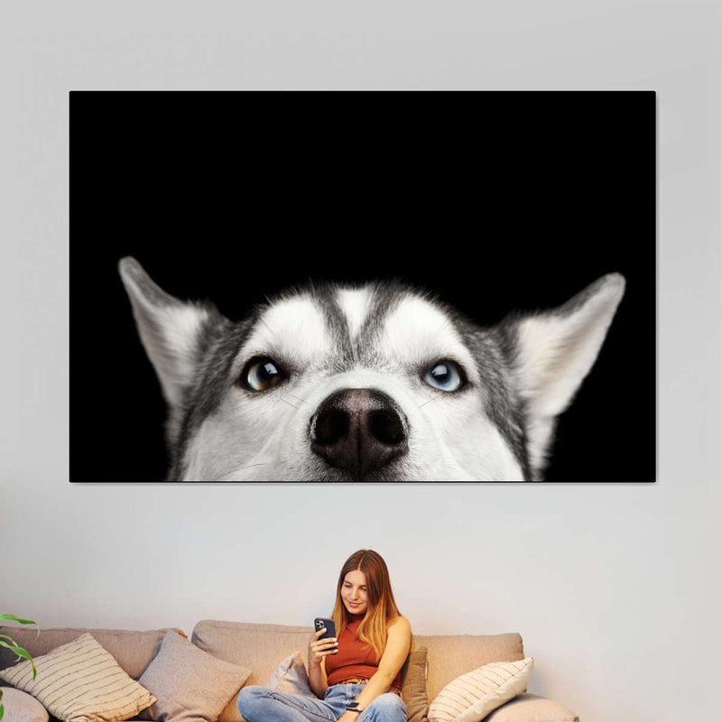 Peeking Siberian Husky Wall Art