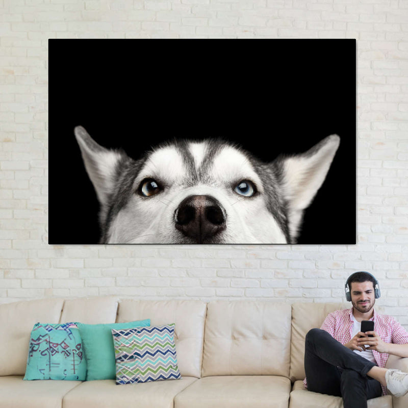 Peeking Siberian Husky Wall Art