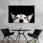 Peeking Siberian Husky Wall Art