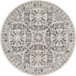 Simon Traditional Beige Area Rug