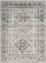 Jules Traditional Light Gray/White/Charcoal Area Rug