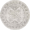 Jules Traditional Light Gray/White/Charcoal Area Rug