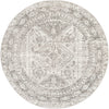 Jules Traditional Light Gray/White/Charcoal Area Rug