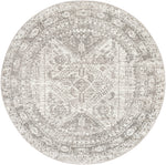 Jules Traditional Light Gray/White/Charcoal Area Rug