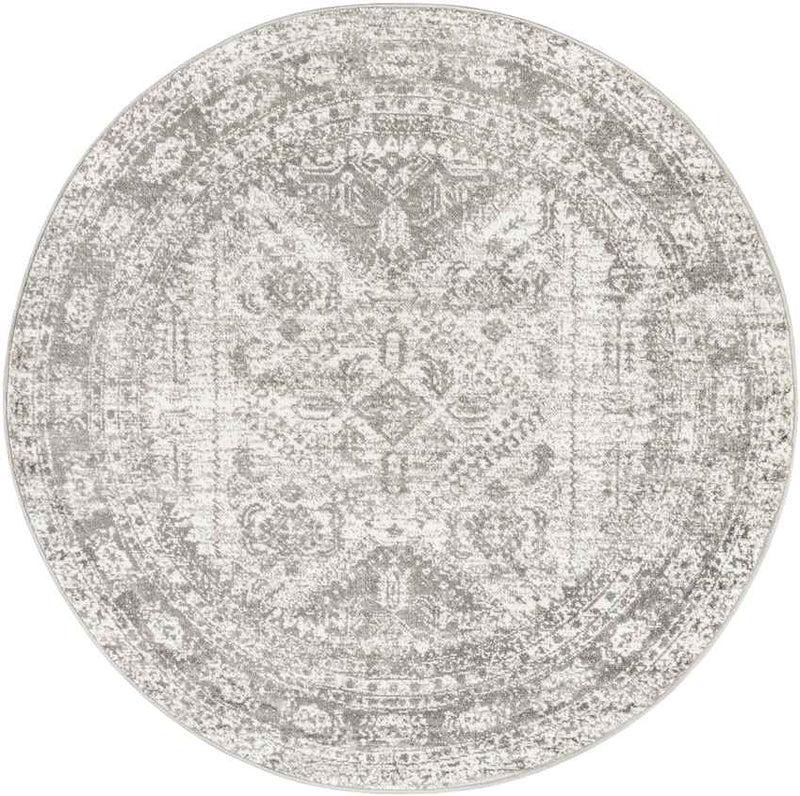 Jules Traditional Light Gray/White/Charcoal Area Rug