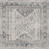 Jules Traditional Light Gray/White/Charcoal Area Rug