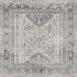 Jules Traditional Light Gray/White/Charcoal Area Rug
