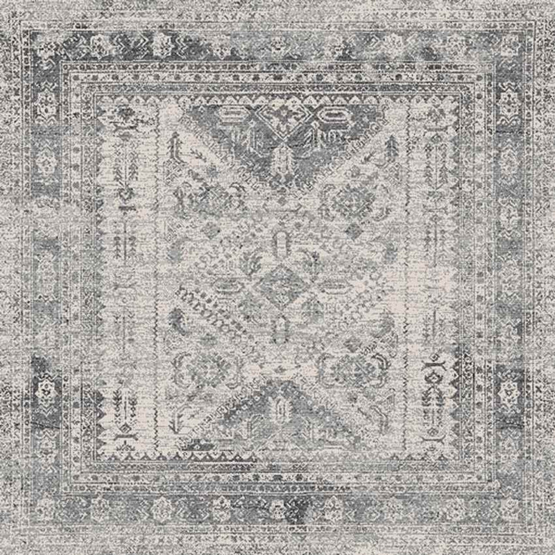 Jules Traditional Light Gray/White/Charcoal Area Rug