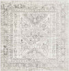 Jules Traditional Light Gray/White/Charcoal Area Rug