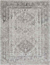 Jules Traditional Light Gray/White/Charcoal Area Rug