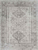 Jules Traditional Light Gray/White/Charcoal Area Rug