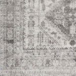 Jules Traditional Light Gray/White/Charcoal Area Rug