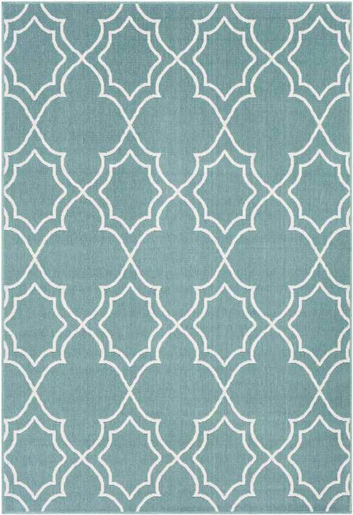 Liam Cottage Teal Area Rug
