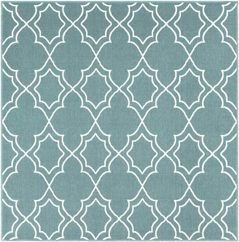 Liam Cottage Teal Area Rug