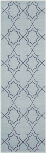 Liam Cottage Aqua Area Rug