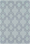 Liam Cottage Aqua Area Rug