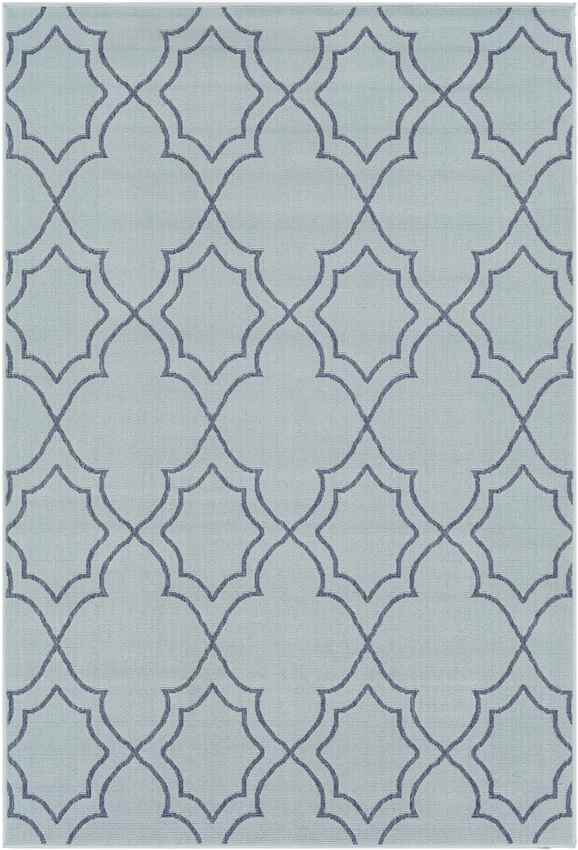 Liam Cottage Aqua Area Rug