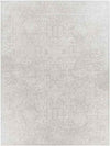 Ximena Traditional Light Gray Area Rug