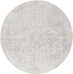 Ximena Traditional Light Gray Area Rug