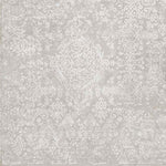 Ximena Traditional Light Gray Area Rug