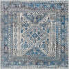 Jules Traditional Light Gray/Charcoal Area Rug