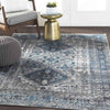 Jules Traditional Light Gray/Charcoal Area Rug