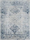 Jules Traditional Sky Blue/Light Gray/White/Navy Area Rug