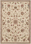 George Traditional Khaki Area Rug