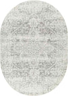 Amelia Traditional Charcoal/Light Gray/Beige Area Rug
