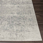 Amelia Traditional Charcoal/Light Gray/Beige Area Rug