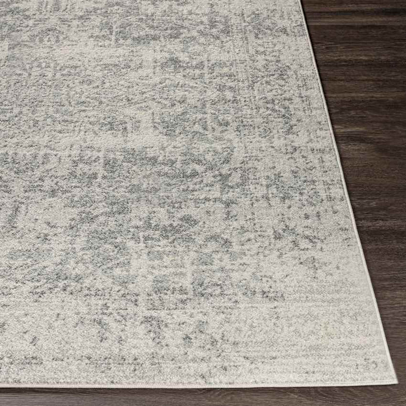 Amelia Traditional Charcoal/Light Gray/Beige Area Rug