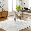 Amelia Traditional Charcoal/Light Gray/Beige Area Rug