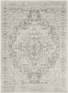 Troyes Traditional Medium Gray Area Rug